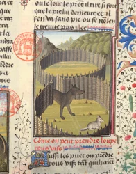 Wolf kurz vor dem Angriff auf ein Lamm, aus dem Livre de la Chasse von Gaston Phebus de Foix (1331-91)